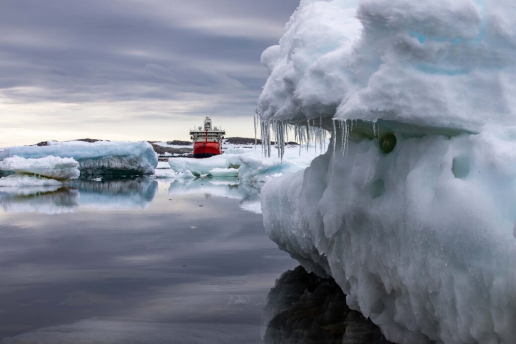 Father and son have sometimes worked simultaneously on the same project, but never really together. © Pete Harmsen AAD